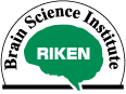 RIKEN Brain Science Institute